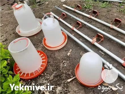 فروش آبخوری و دانخوری در رشت در گروه تجهیزات مرغداری در یکمیوه -عکس1