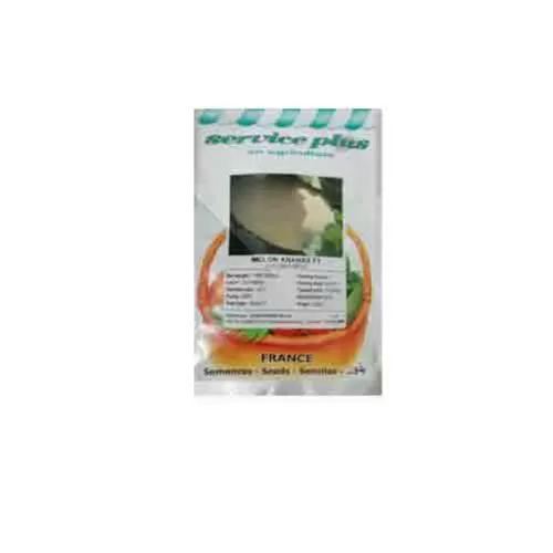 بذر ملون آناناسی سرویس پلاس فرانسه در تهران در گروه خرید و فروش بذر ملون در یکمیوه -عکس1