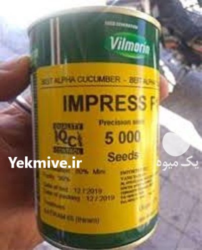 گوجه فرنگی ویلمورین در البرز در گروه خرید و فروش بذر گوجه در یکمیوه -عکس1