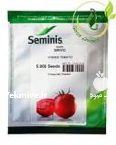 گوجه فرنگی بریویو در زنجان در گروه خرید و فروش بذر گوجه در یکمیوه -عکس1