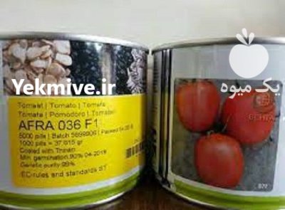 گوجه فرنگی افرا در گروه خرید و فروش بذر گوجه در یکمیوه -عکس1