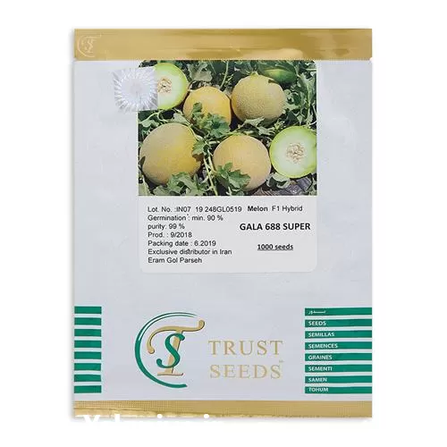 فروش عرضه بذر ملون گالا در تهران در گروه خرید و فروش بذر ملون در یکمیوه -عکس1