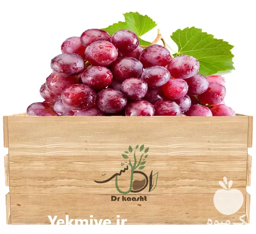 قیمت خرید عمده نهال انگور الحقی در اصفهان در گروه خرید و فروش نهال انگور در یکمیوه -عکس1