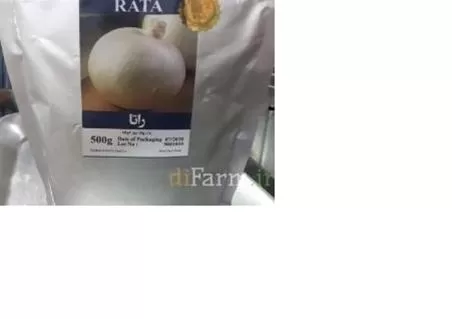 قیمت خرید بذر پیاز راتا در گروه خرید و فروش بذر پیاز در یکمیوه -عکس1