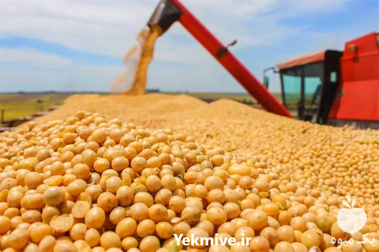 واردات غلات به صورت مستقیم در تهران در گروه خوراک دام و طیور در یکمیوه -عکس1