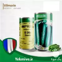 بذر خیار ایمپرس ویلمورین هیبرید پربار در گروه خرید و فروش بذر خیار در یکمیوه