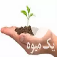 فروش کود آهن در کرج در گروه خرید و فروش کود آهن در یکمیوه