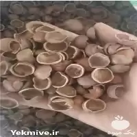 قیمت خرید پوست فندق در قزوین در گروه خرید و فروش فندق در یکمیوه