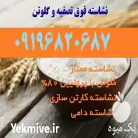قیمت خرید گلوتن گندم در تهران در گروه خوراک دام و طیور در یکمیوه