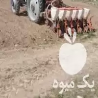 کاشت چغندر بذرسازان باضمانت کاربفروش می در بوکان در گروه خرید و فروش دستگاه چغندر در یکمیوه