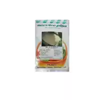 بذر ملون آناناسی سرویس پلاس فرانسه در تهران در گروه خرید و فروش بذر ملون در یکمیوه