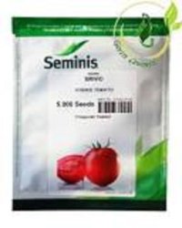 گوجه فرنگی بریویو در زنجان در گروه خرید و فروش بذر گوجه در یکمیوه