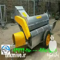 خرید تخمه گیر تخمه قرمز ژاپنی در ارومیه در گروه خرید و فروش انواع تخمه در یکمیوه