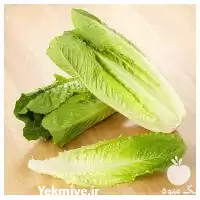 کاهو پیچ بلند سیاهو خرید بذر کاهو در گروه خرید و فروش بذر کاهو در یکمیوه