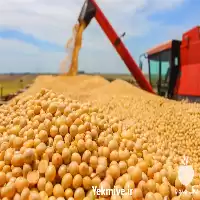 واردات غلات به صورت مستقیم در تهران در گروه خوراک دام و طیور در یکمیوه