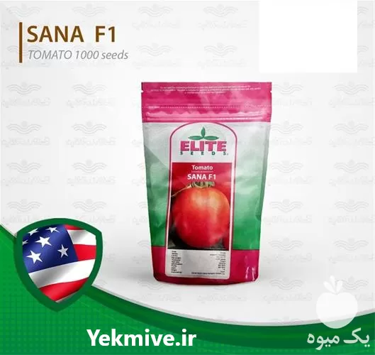 بذر گوجه پربار زودرس ثنا قیمت در گلستان در گروه خرید و فروش بذر گوجه در یکمیوه -عکس1