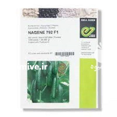 بذر خیار ناگین در گروه خرید و فروش بذر خیار در یکمیوه -عکس1