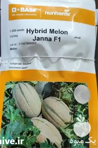 فروش بذر خربزه janna پربار در فارس در گروه خرید و فروش بذر خربزه در یکمیوه -عکس1
