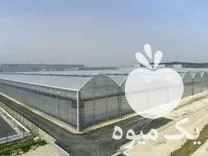 فروش لوله گالوانیزه سازه گلخانه گلخانه در حاجی آباد در گروه خرید و فروش سوله و سازه گلخانه در یکمیوه -عکس1