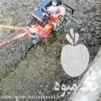 زدن باغ و گلخانه با تیلر در گروه خدمات شخم زنی در یکمیوه