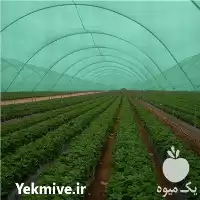 قیمت خرید توری شید گلخانه در گروه خرید و فروش توری گلخانه در یکمیوه