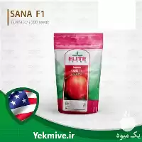 بذر گوجه پربار زودرس ثنا قیمت در گلستان در گروه خرید و فروش بذر گوجه در یکمیوه