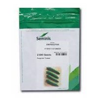 بذر خیار امپراطور در مازندران در گروه خرید و فروش بذر خیار در یکمیوه