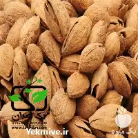 قیمت نهال بادام نون پاریل در آذربایجان غربی در گروه خرید و فروش نهال بادام در یکمیوه