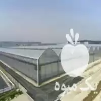 فروش لوله گالوانیزه سازه گلخانه گلخانه در حاجی آباد در گروه خرید و فروش سوله و سازه گلخانه در یکمیوه
