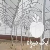 فروش سازه گلخانه در مشهد در گروه خرید و فروش سوله و سازه گلخانه در یکمیوه