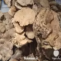 فروش خرید گیاهان دارویی در تهران در گروه خرید و فروش گیاهان دارویی در یکمیوه