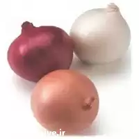 قیمت خرید بذر پیاز در گروه خرید و فروش بذر پیاز در یکمیوه