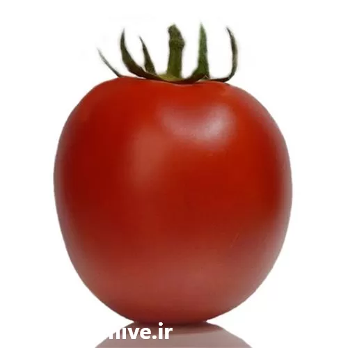 بذر گوجه فرنگی افرا متحمل در خوزستان در گروه خرید و فروش بذر گوجه در یکمیوه -عکس1