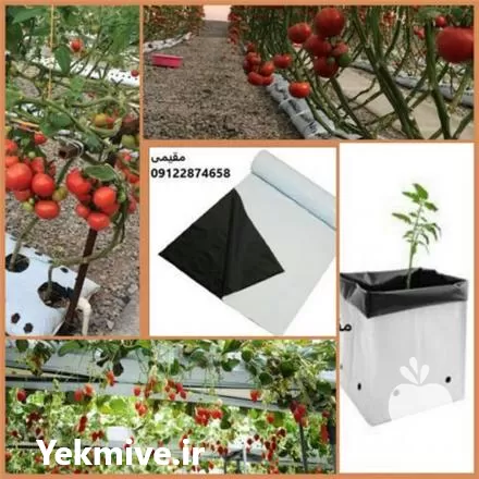 قیمت خرید کیسه کشت هیدروپونیک در تهران در گروه خرید و فروش بسته بندی نایلونی در یکمیوه -عکس1