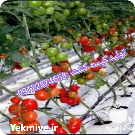 قیمت خرید تولید نایلون گروبگ کشاورزی در تهران در گروه خرید و فروش بسته بندی نایلونی در یکمیوه -عکس1