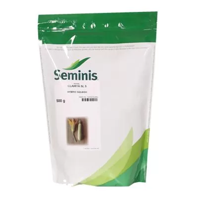 فروش بذر کدو سبز SL 5 در همدان در گروه خرید و فروش بذر کدو در یکمیوه -عکس1