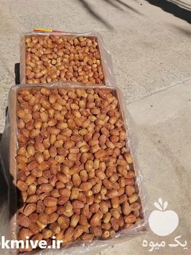 فروش خرما زاهدی در فارس در گروه خرید و فروش خرما در یکمیوه -عکس1