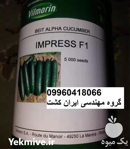 قیمت خرید بذر خیار ایمپرس ویلمورین در خوزستان در گروه خرید و فروش بذر خیار در یکمیوه -عکس1