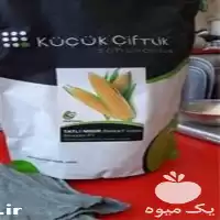 فروش بذر ذرت شایان در خوزستان در گروه خرید و فروش بذر ذرت در یکمیوه