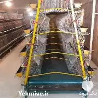 تجهیزات مرغداری گوشتی و تخم گذار در گروه تجهیزات مرغداری در یکمیوه