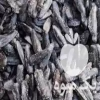 قیمت خرید تخمه سیاه بادامی شکری در گروه خرید و فروش انواع تخمه در یکمیوه