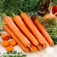 قیمت فروش بذر هویج نانکو در گروه خرید و فروش بذر هویج در یکمیوه