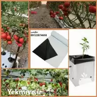 قیمت خرید کیسه کشت هیدروپونیک در تهران در گروه خرید و فروش بسته بندی نایلونی در یکمیوه