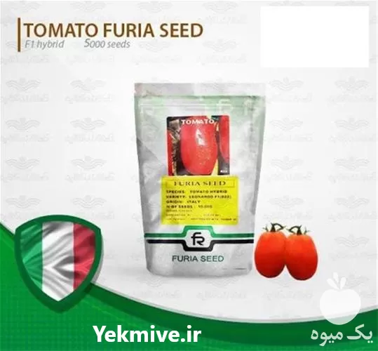 فروش بذر گوجه فرنگی لئوناردو در اردبیل در گروه خرید و فروش بذر گوجه در یکمیوه -عکس1