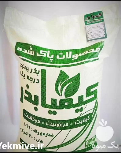 فروش بذر یونجه رنجر در خوزستان در گروه خرید و فروش بذر یونجه در یکمیوه -عکس1