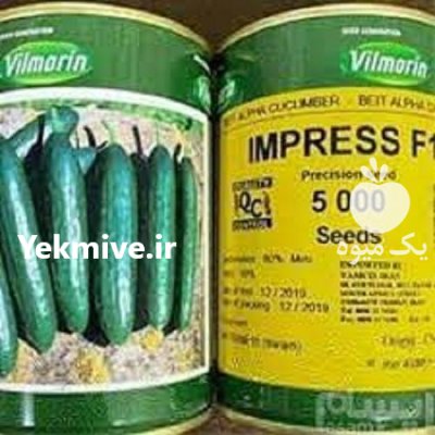 بذر خیار ویلمورین در گروه خرید و فروش بذر خیار در یکمیوه -عکس1