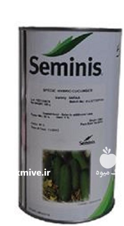 بذر خیار رویال _ فروش ویژه در کرمان  در گروه خرید و فروش بذر خیار در یکمیوه -عکس1