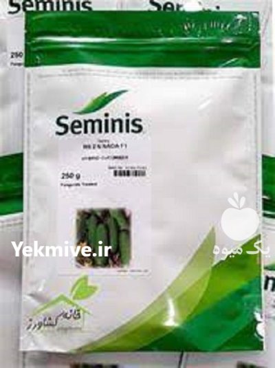 بذر خیار n 2 در کرمان  در گروه خرید و فروش بذر خیار در یکمیوه -عکس1