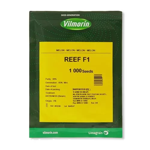 خرید عرضه بذر ملون گالیا ریف در گروه خرید و فروش بذر ملون در یکمیوه -عکس1