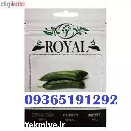 رویال بذر خیار میوه یا پر در کردستان در گروه خرید و فروش بذر خیار در یکمیوه -عکس1